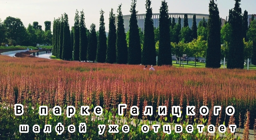 💜🌿🌸🌿💜🌿🌸🌿💜🌿🌸🌿🌸💜