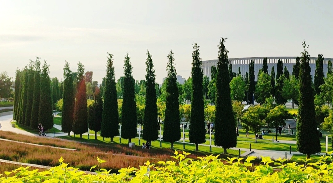 💜🌿🌸🌿💜🌿🌸🌿💜🌿🌸🌿💜