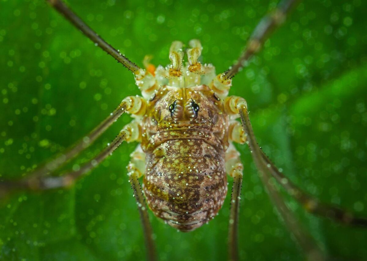 Фотография ekamelev. Взято с Pixabay