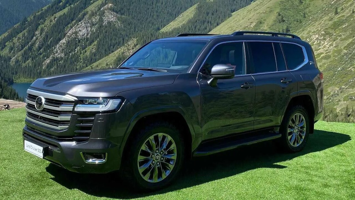 Изображения взяты из открытых источников