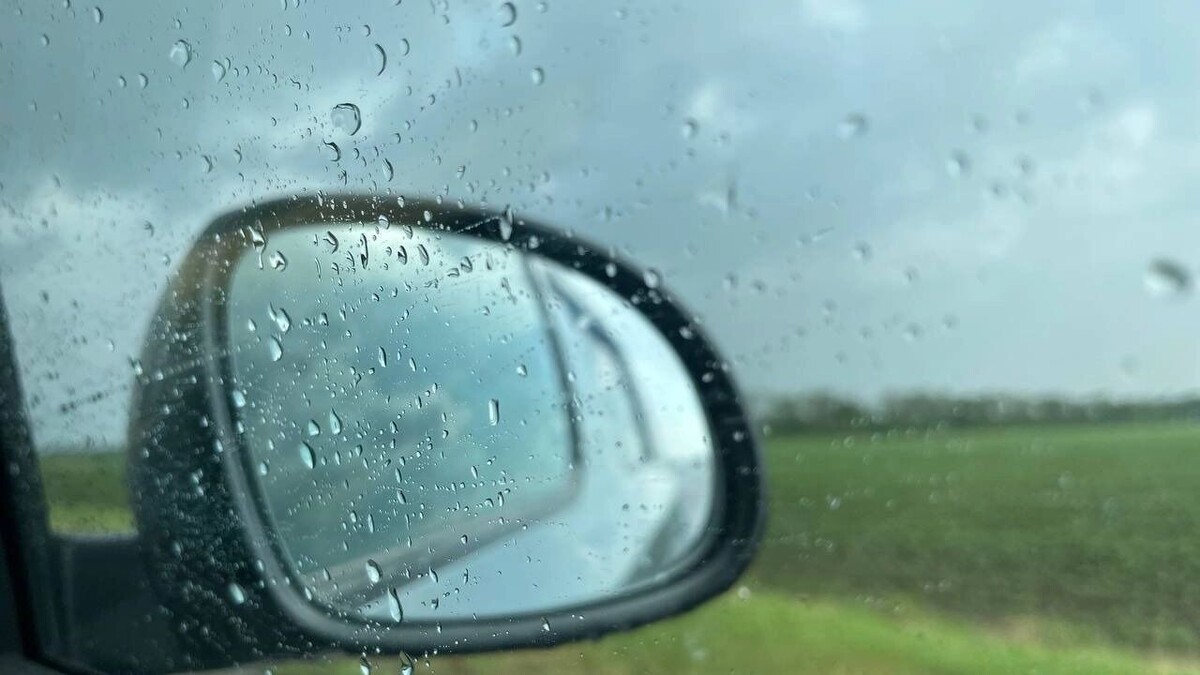     Источник: rostovgazeta.ru