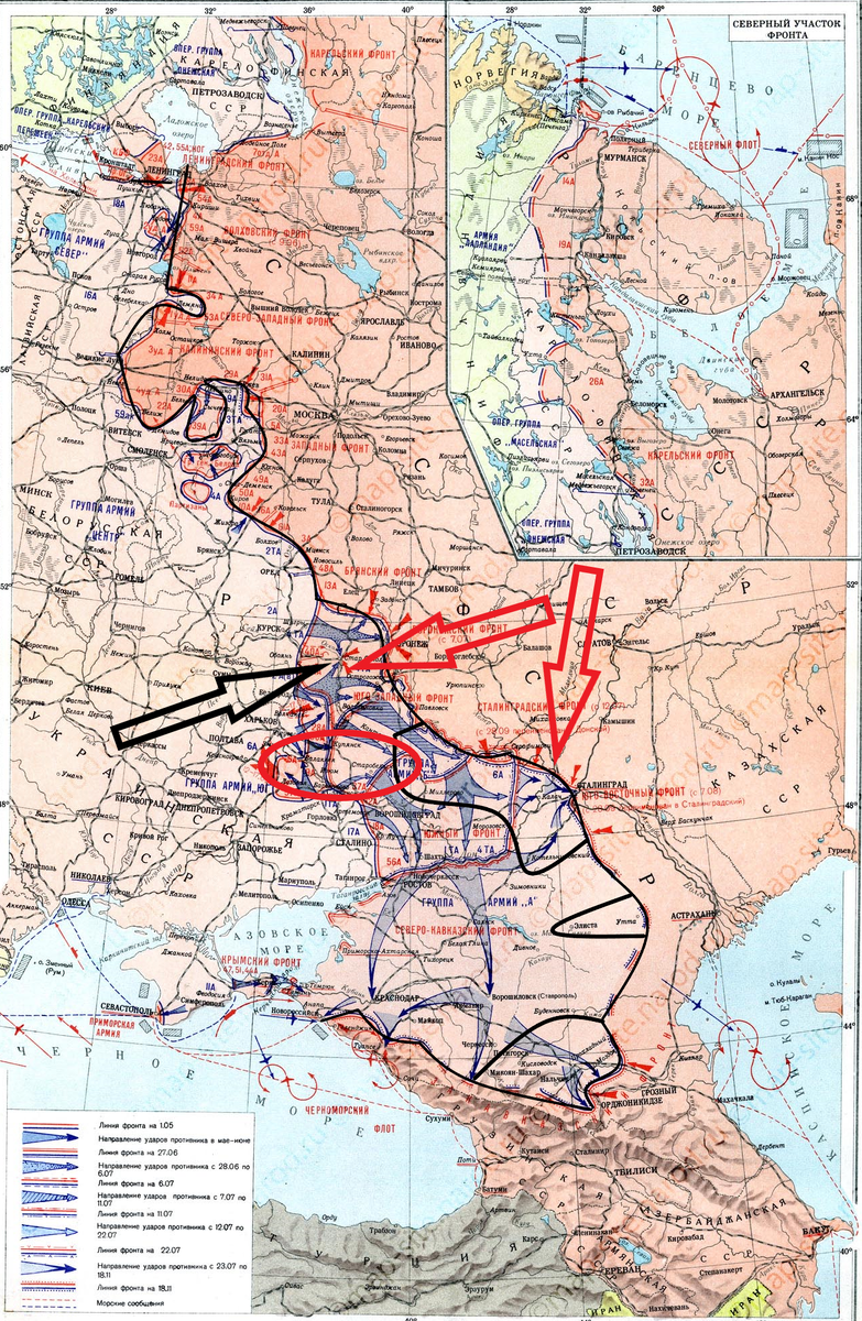 (Фото взято из открытых источников).