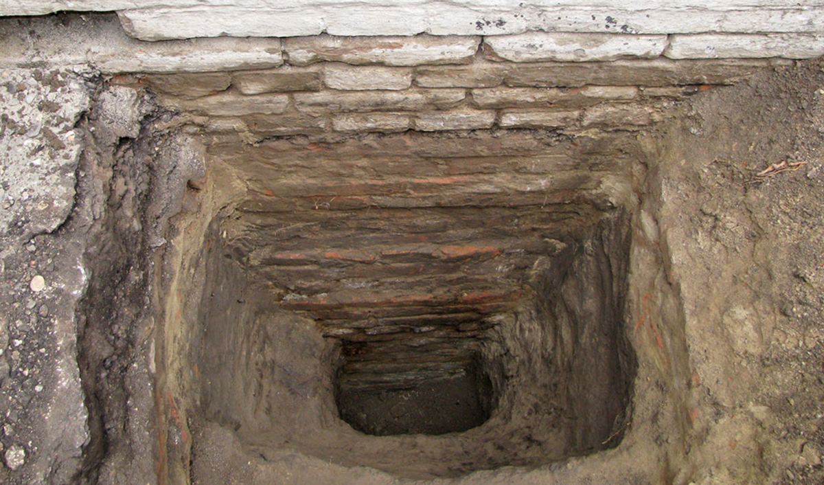 Разработано и создано: https://chatgpt.com/ Источник фото: https://chatgpt.com/