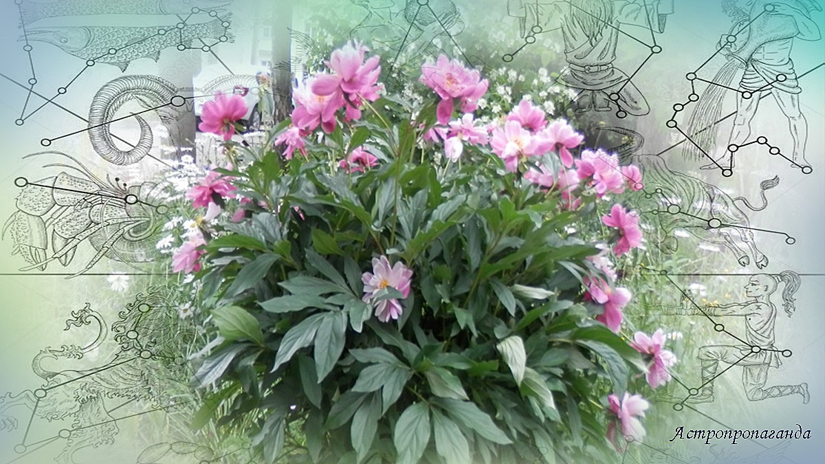 Гороскоп с 16 по 22 июня 2025: Марс в Деве, Солнце в Раке и очень много квадратур | Недельный гороскоп 