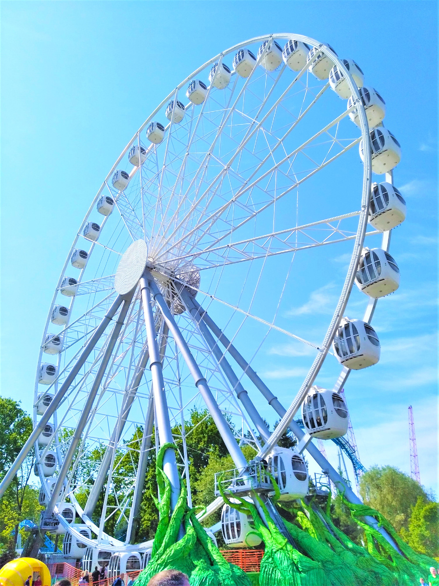 Фото автора для оформления статьи