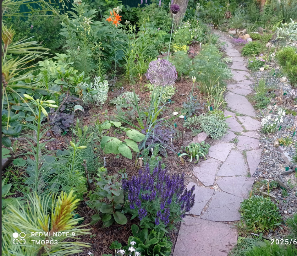 просто  все растет