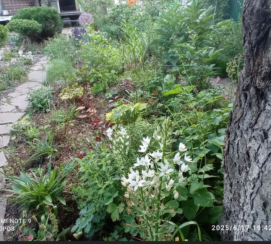 с пртивоположной сстроны