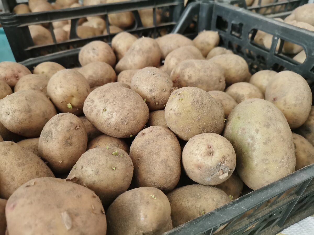    Фото: ГТРК «Карелия»