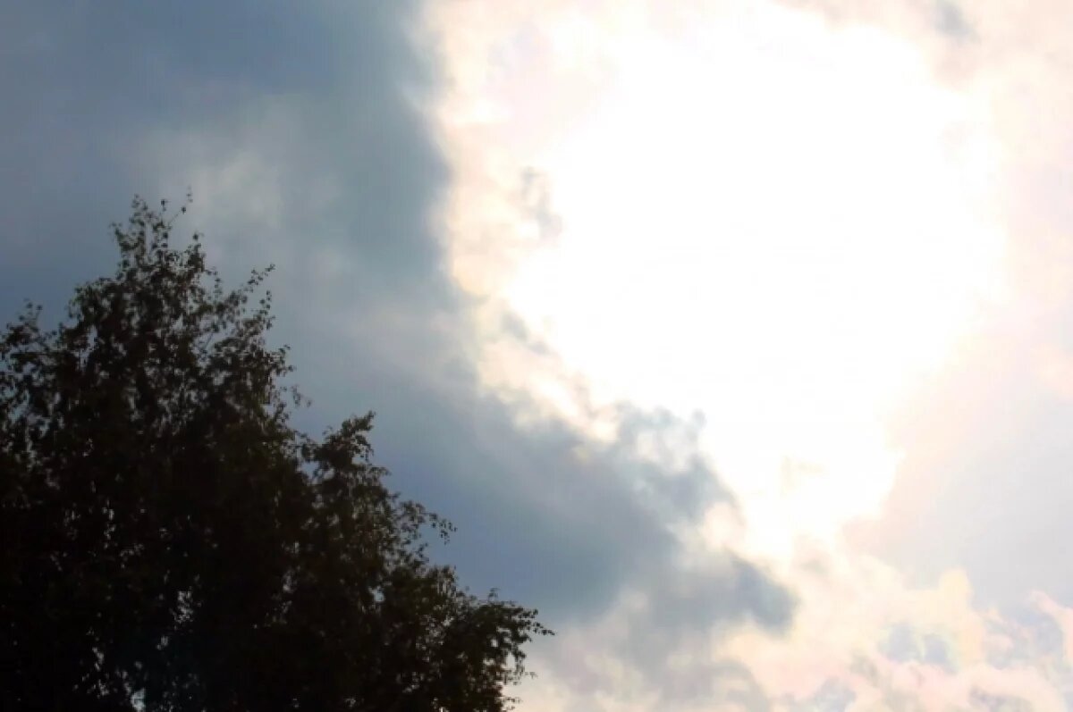    На Дону 18 июня синоптики обещают переменную облачность