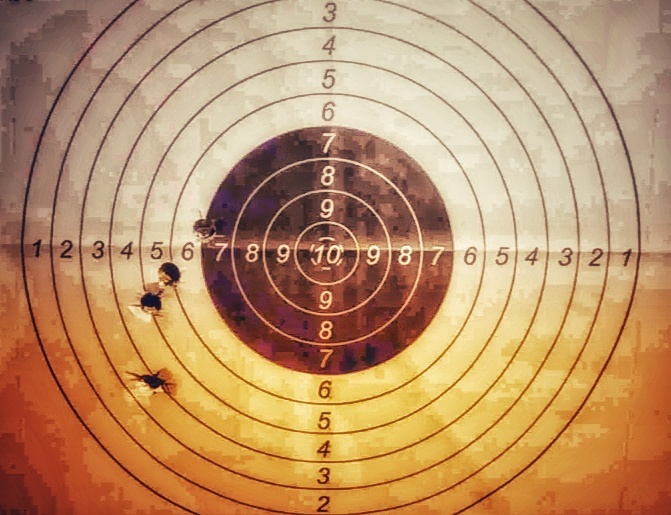 Дистанция 60 метров.