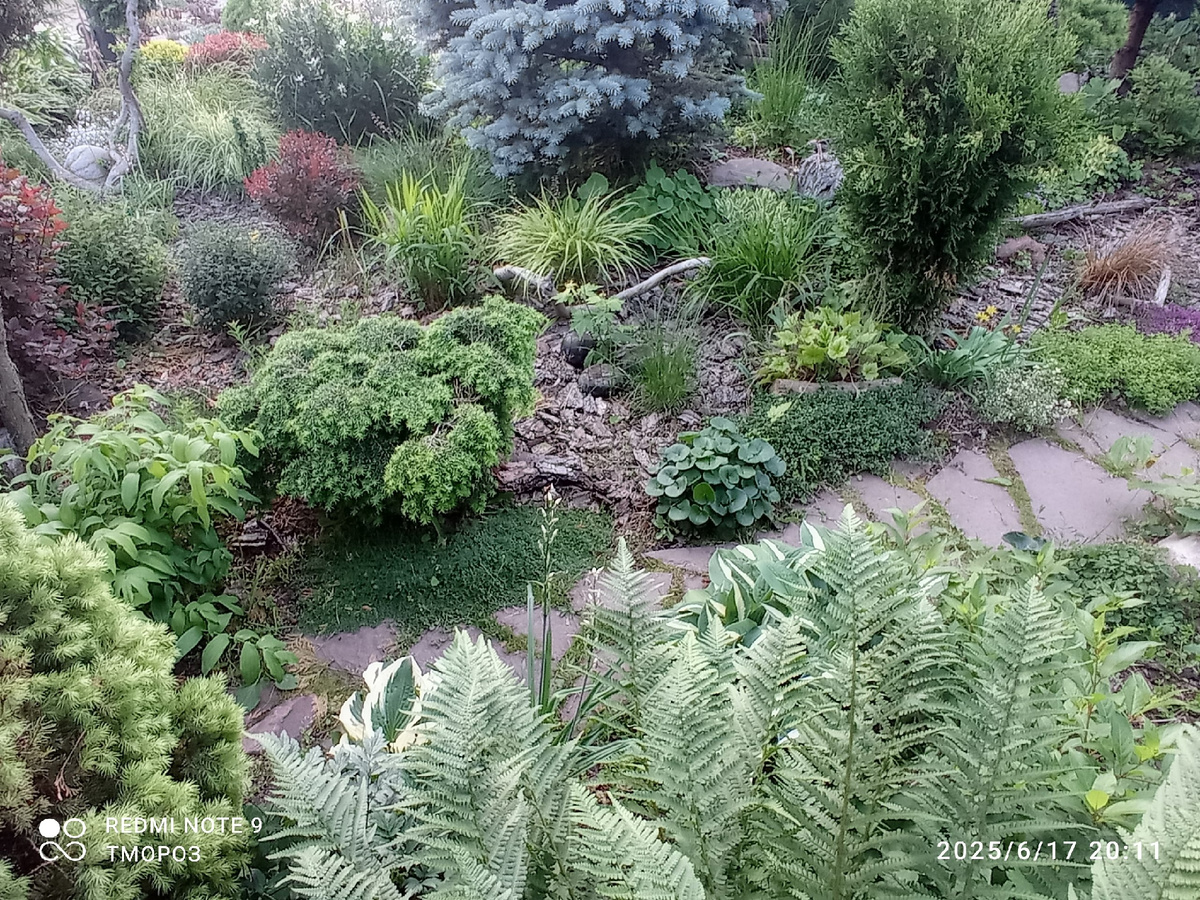 от входа в поместье