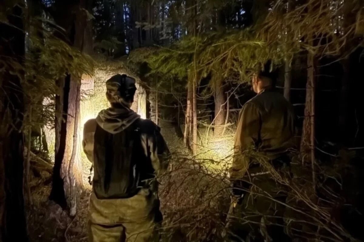    Под Тверью пожилой грибник заблудился в знакомом лесу