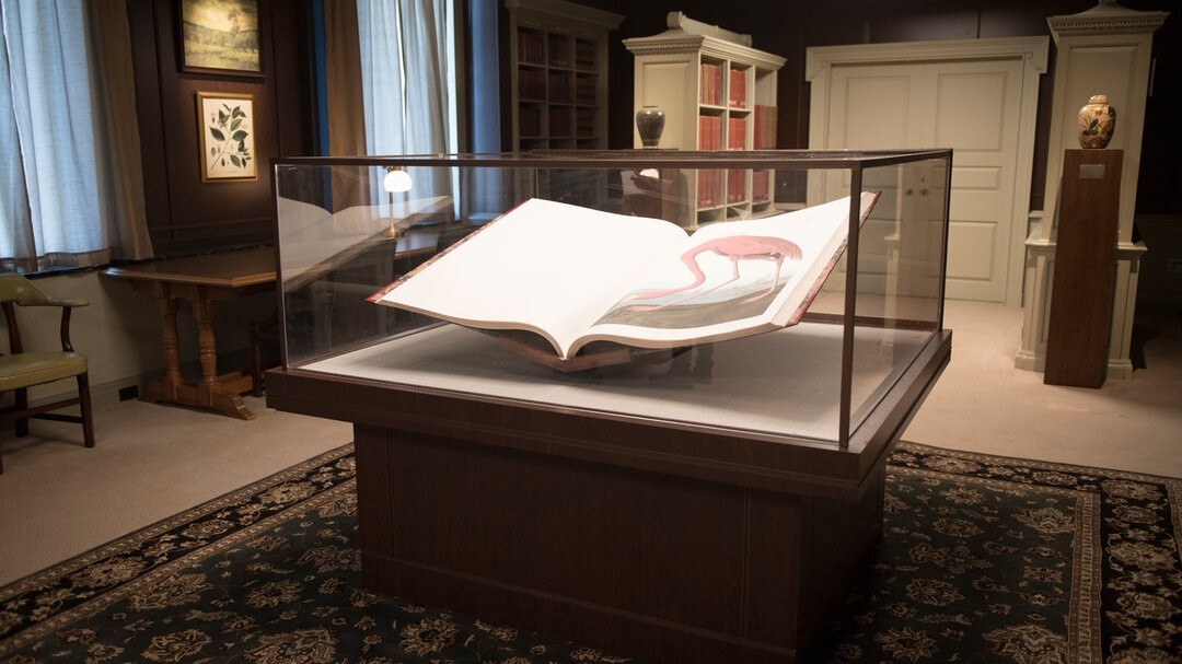 Кадр из фильма «Американские животные», 2018 год, режиссер Барт Лейтон