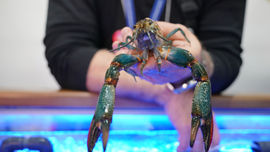    Sergey Petrov/Globallookpress