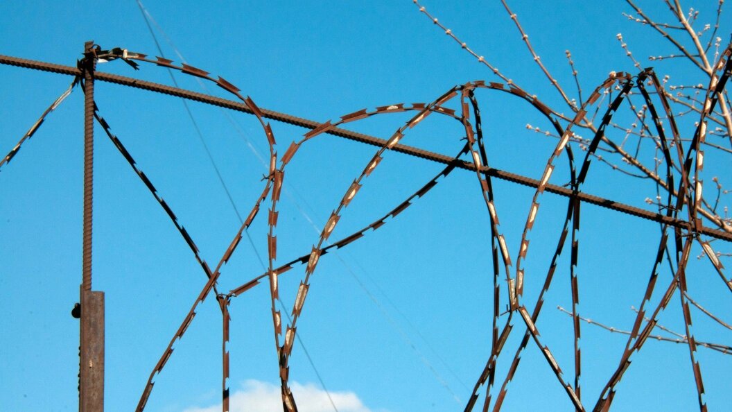    Фото: Svetlana Vozmilova/Globallookpress