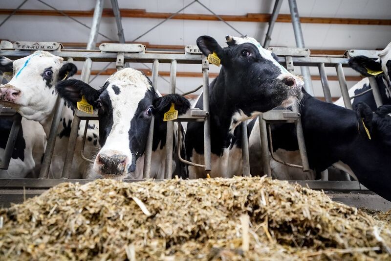     / Источник: ©ИЗВЕСТИЯ/Сергей Лантюхов