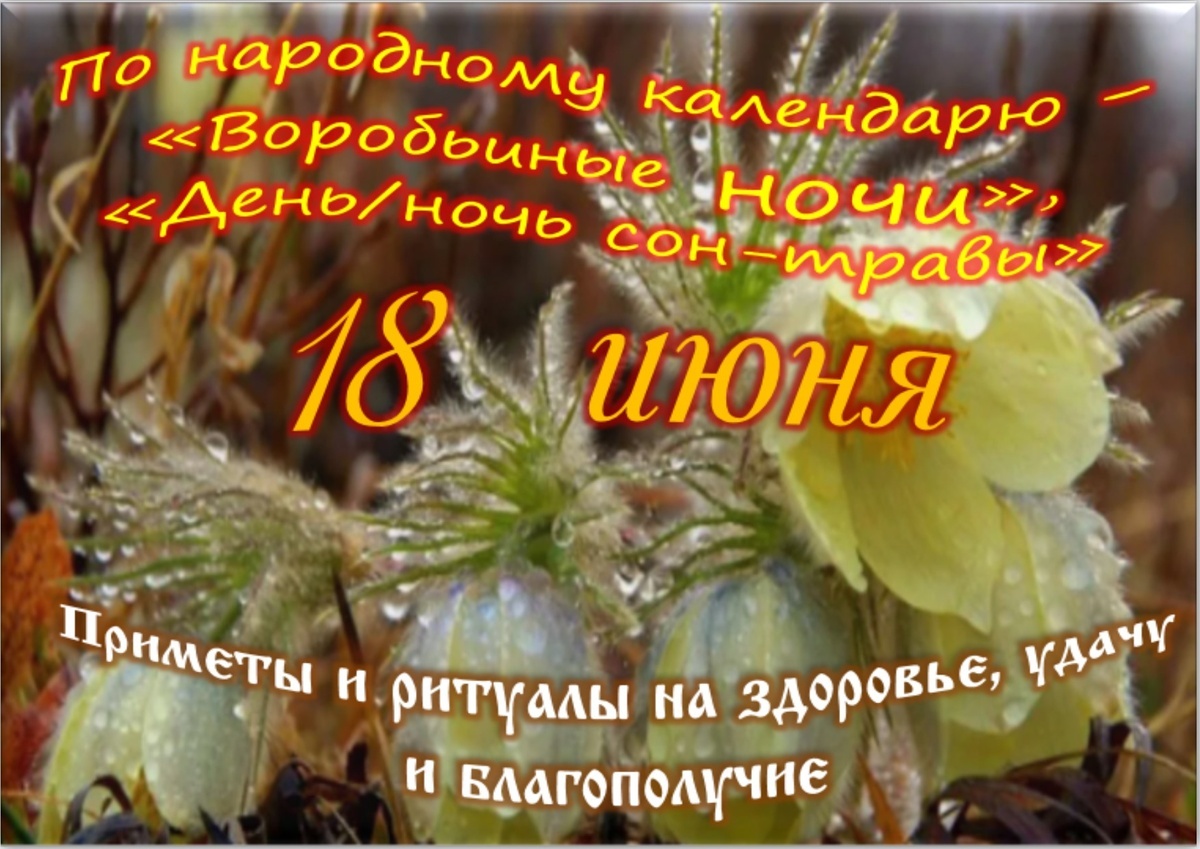 Встречаем новый день