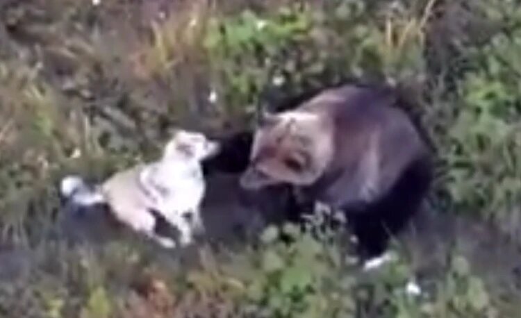 Фото: соцсети