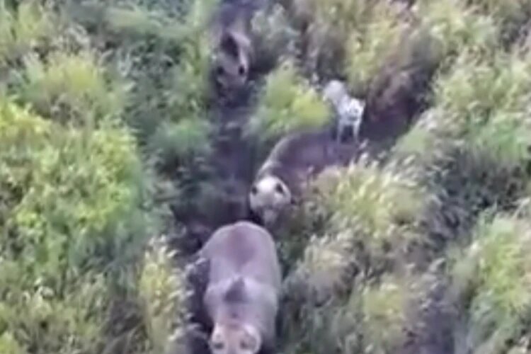 Фото: соцсети