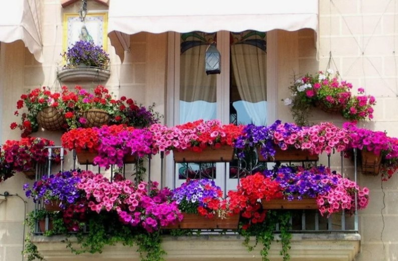 Фото из открытых источников