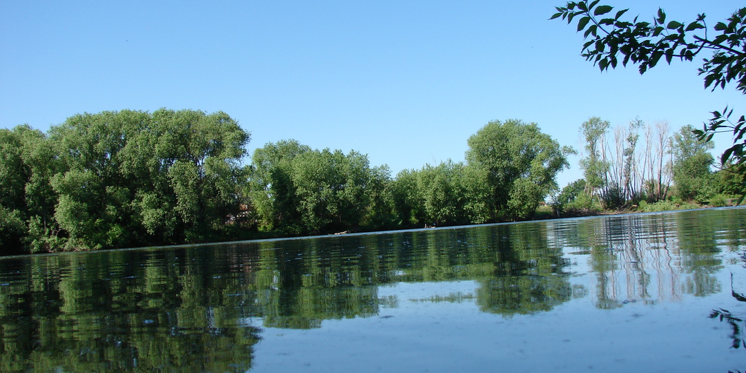 Зашли на заброшенный участок! Наконец-то спустя 8 лет. (много фото)