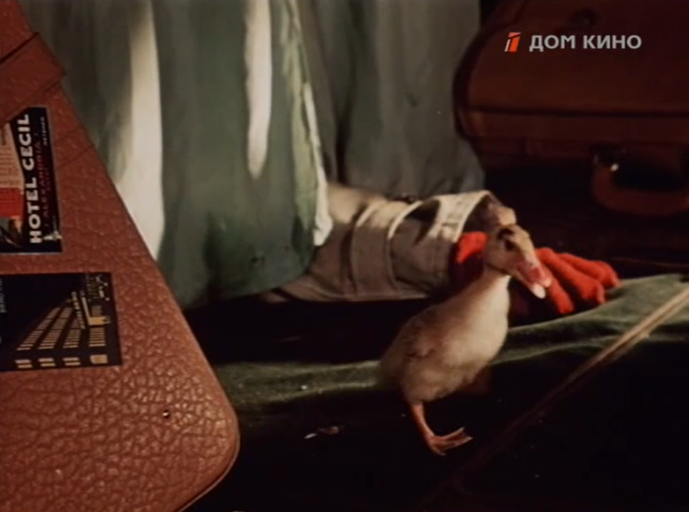 Кадр из "Русского сувенира"