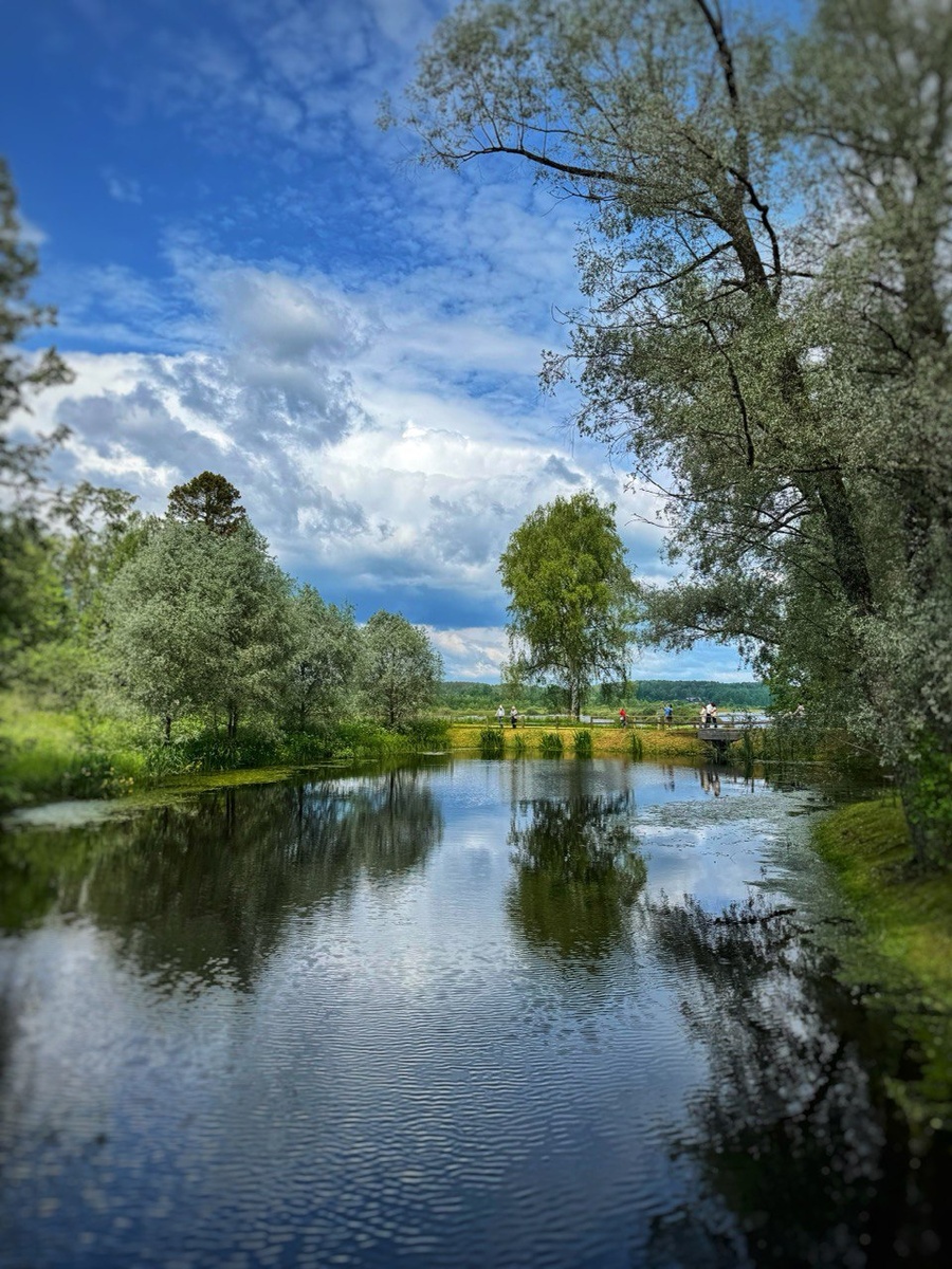 Природа, которая вдохновила гения