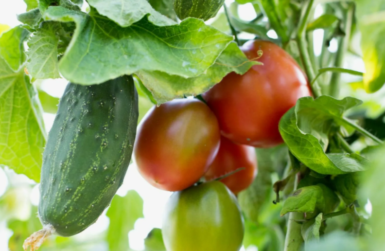 Фото из открытых источников