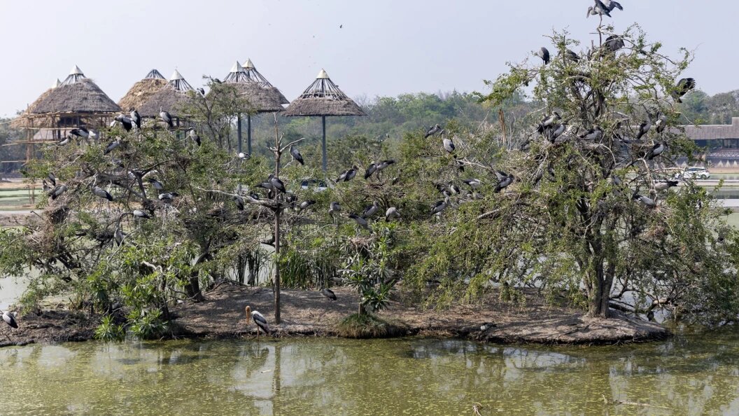    ФОТО: © ALEKSEY SMYSHLYAEV/GLOBAL LOOK PRESS