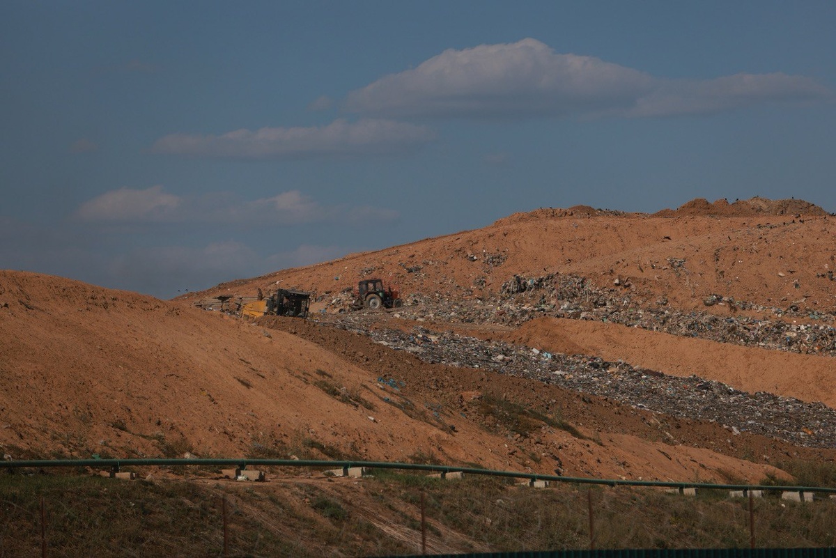 Автор фото: Павел Хацаюк / ИД «Вечерняя Казань»