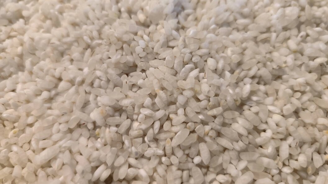    Фото: Maksim Konstantinov/Globallookpress