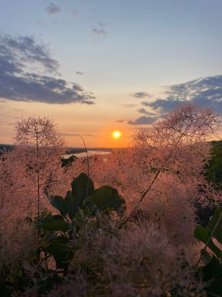   Фото: П. Краснощеков. Газета "Земля"
