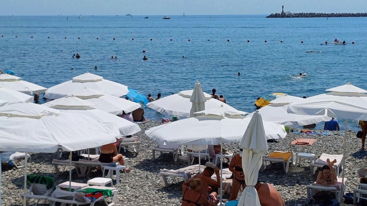     Автор: KubanPress