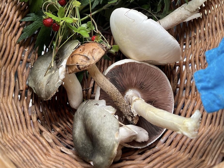 Фото Марины Самошкиной