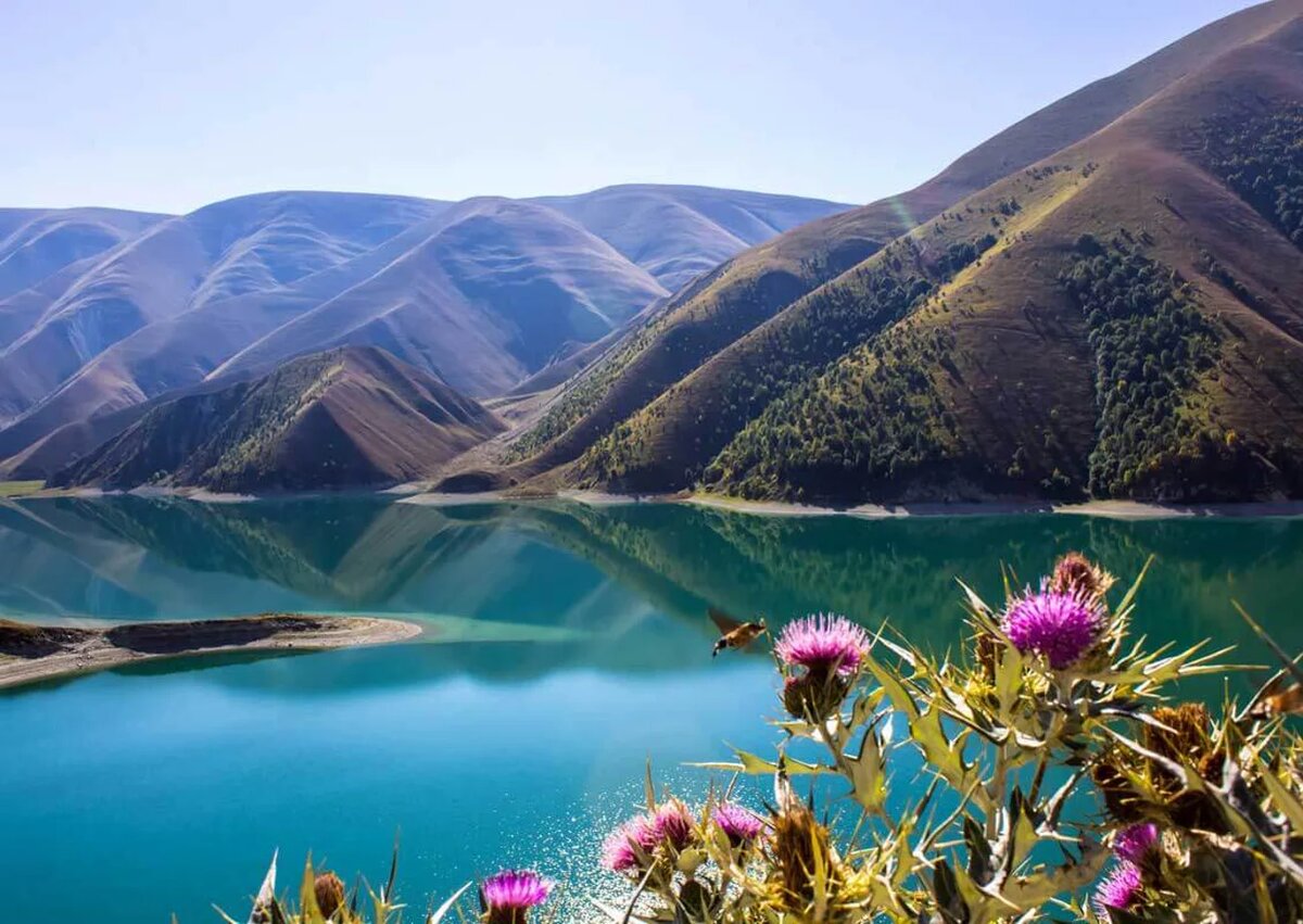 https://www.sputnik8.com/ru/makhachkala/sights/ozero-kezenoj-am/info