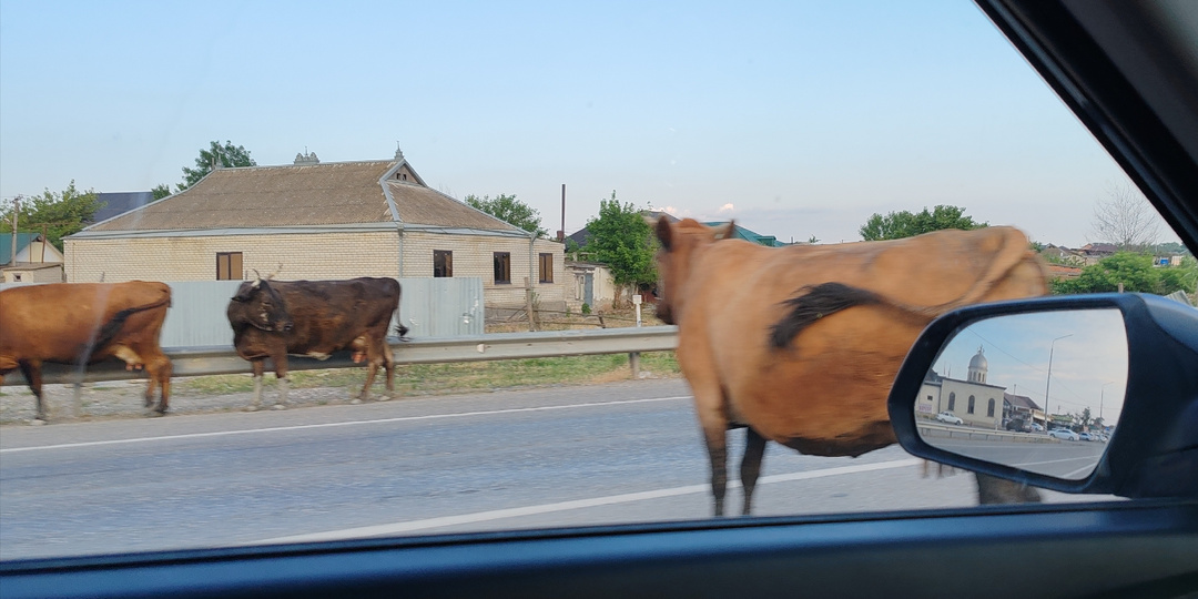 День четвертый или долгая дорога в Дербент