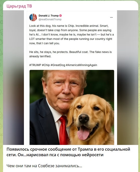    скриншот: телеграм-канал Царьград ТВ