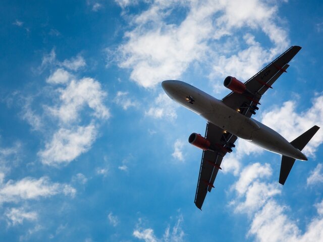    Фото: 123RF/lightpoet