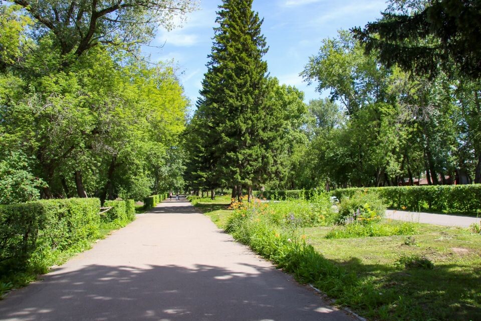    Лето. Погода. Источник: Виталий Барабаш