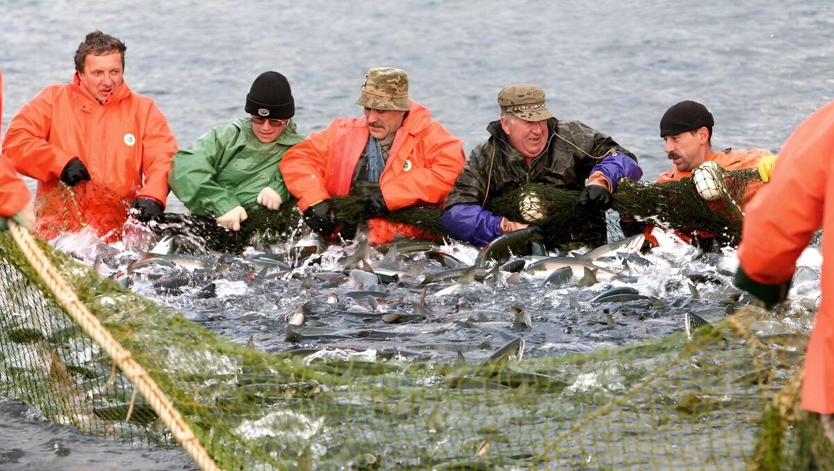     Источник: 1MI