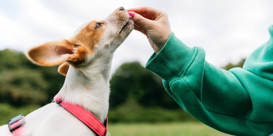 Как работает правильное обучение