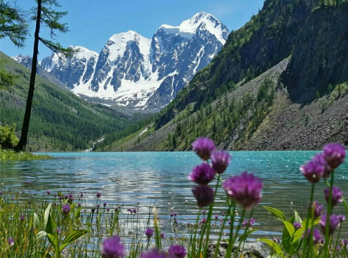 Природа Алтая 