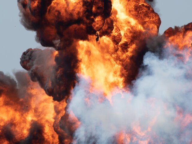    Фото: 123RF/bryanwilkinson