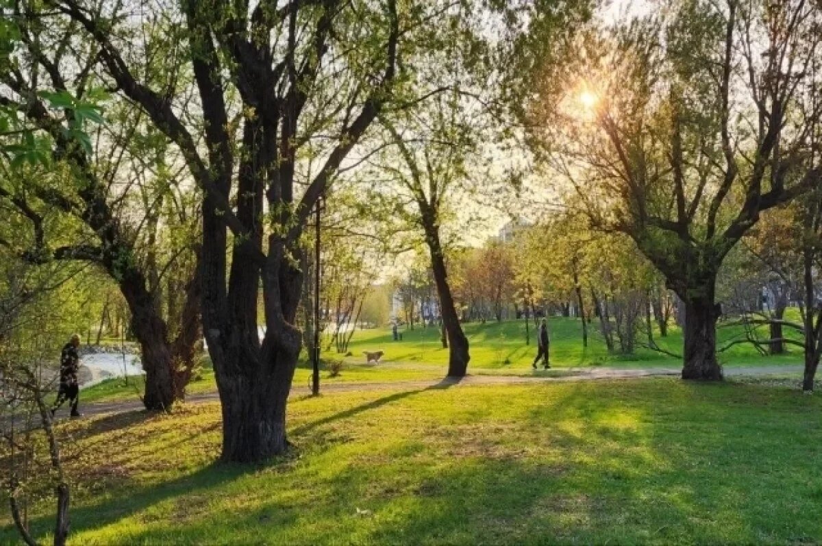    Аномальное тепло уходит из Новосибирской области