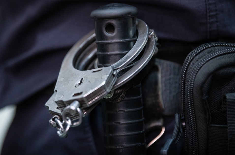    Фото: Ilya Moskovets/URA.RU/Globallookpress