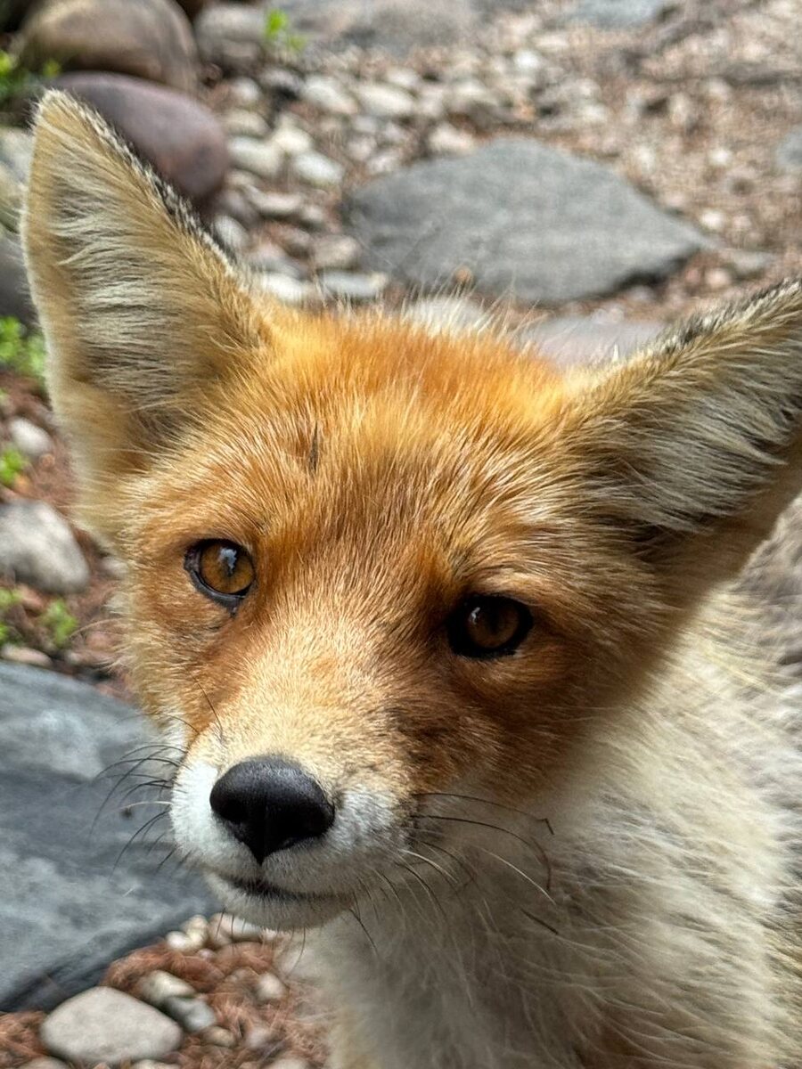 Фото от госинспектора Анастасии Шойко 📸 Листайте галерею, чтобы увидеть все фото