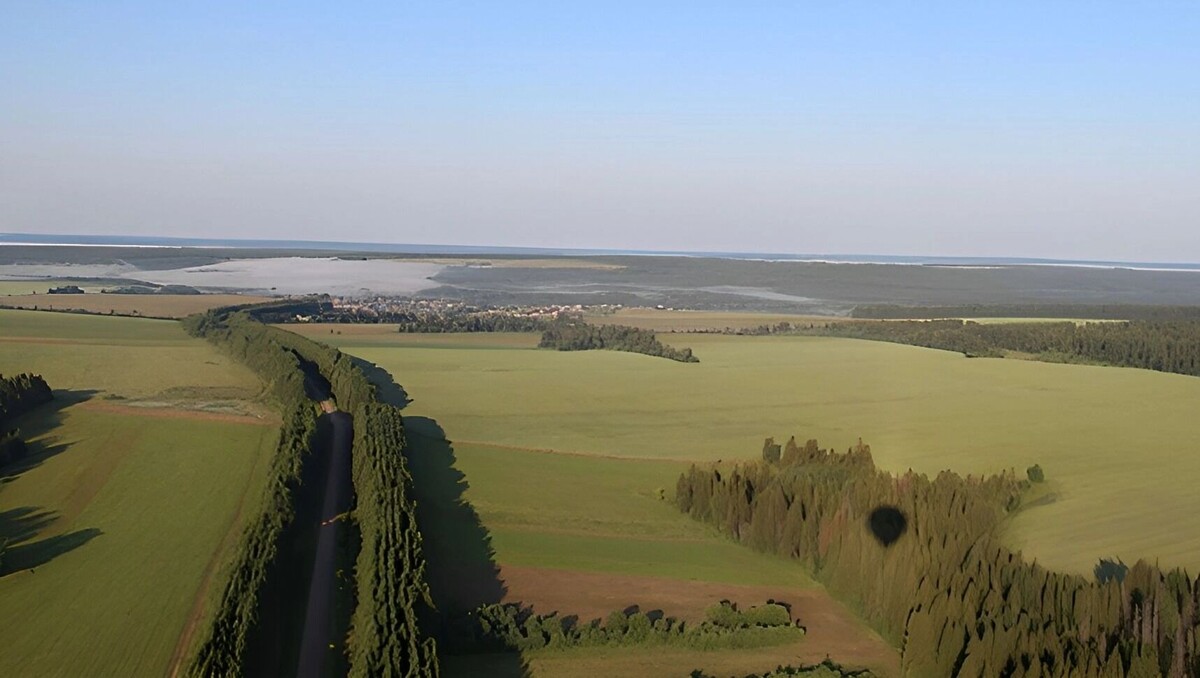     Источник: 1MI