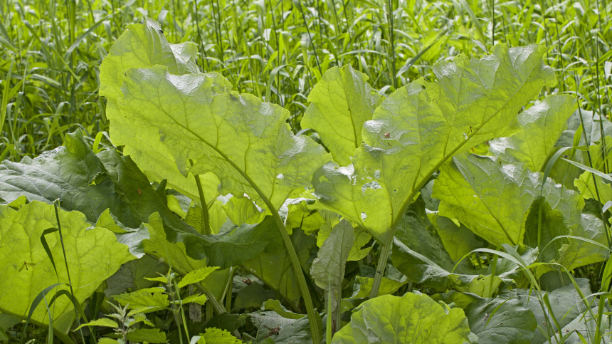    Фото: www.globallookpress.com/F. Hecker