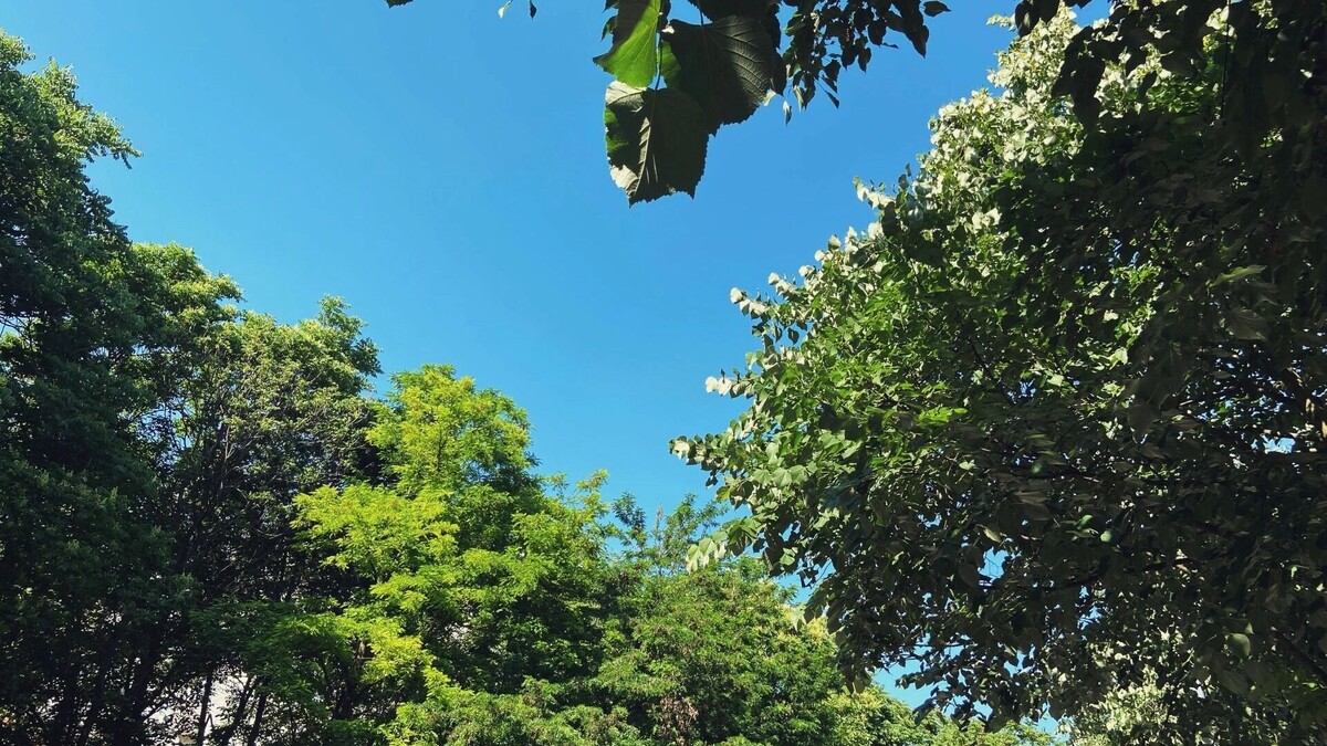     Источник: prmira.ru