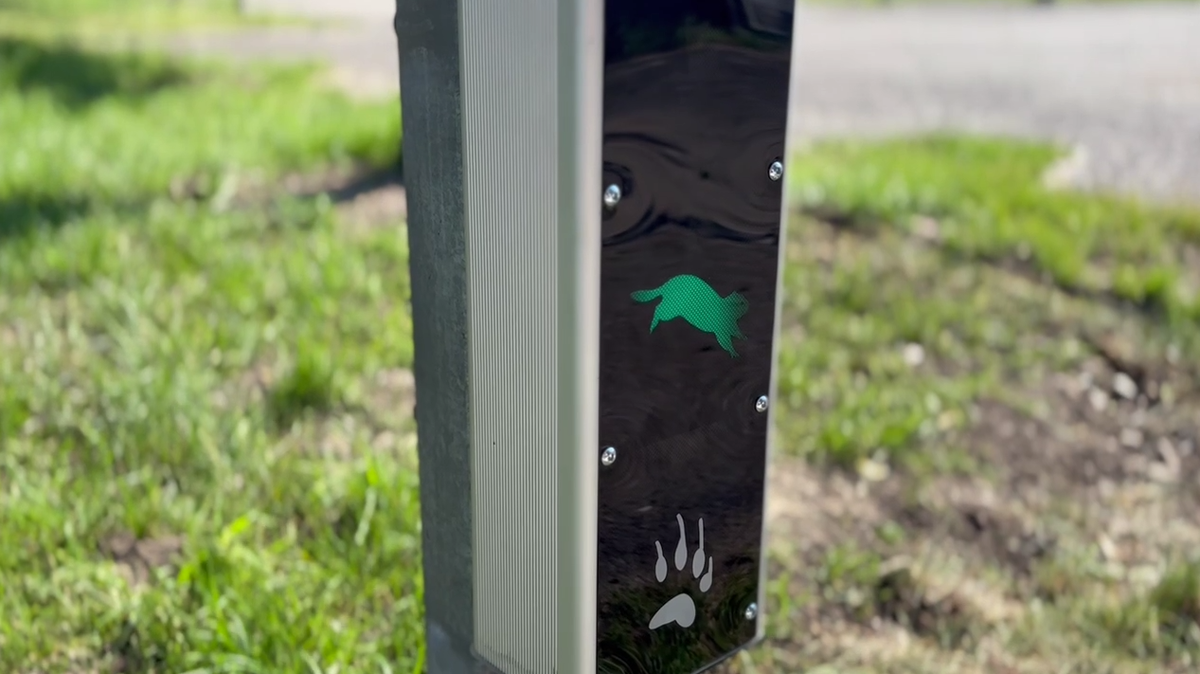     На красноярском острове Татышев установили светофор для сусликов